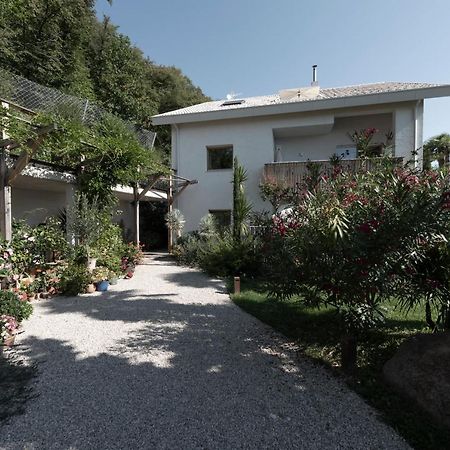 La Loggia Georg Leilighet Pianizza di Sopra Eksteriør bilde